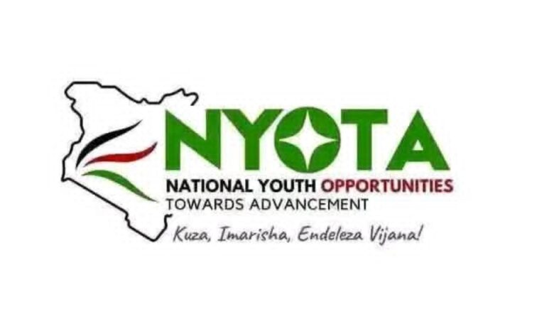 How to apply for NYOTA project & get Sh50K grants before deadline 1 IMG 20251007 181521